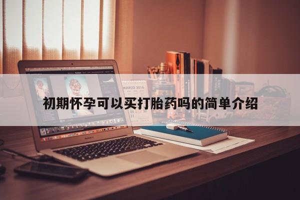 堕胎药怎么买初期怀孕可以买打胎药吗的简单介绍