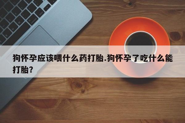 堕胎药怎么买狗怀孕应该喂什么药打胎.狗怀孕了吃什么能打胎？