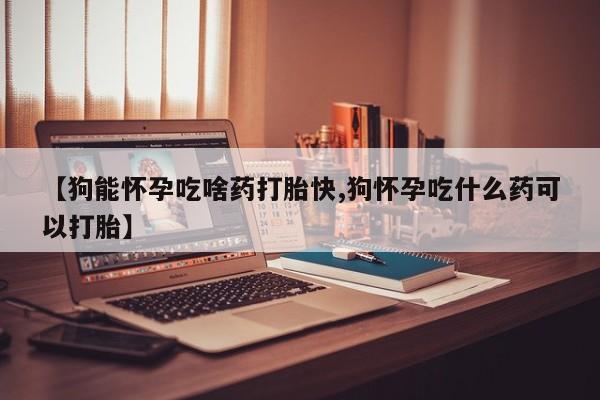堕胎药怎么买【狗能怀孕吃啥药打胎快,狗怀孕吃什么药可以打胎】